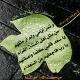 رَوَائعُ الكَلِمِ