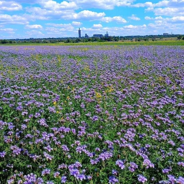 Юбилейный Луганск 🤍