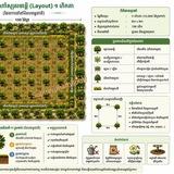 ទីប្រឹក្សាកសិកម្ម_Agricultural Consultants