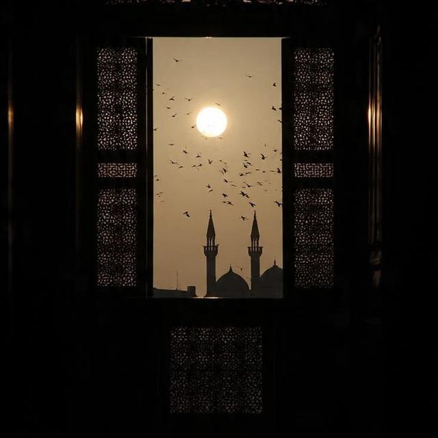 𓂆 وذكّر