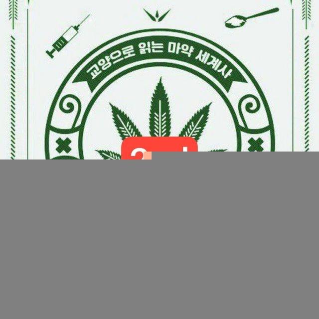 🛰단톡방과 함께 마약뉴스 같이보기🛰