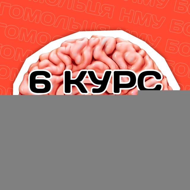 MEDIUS | 6 КУРС