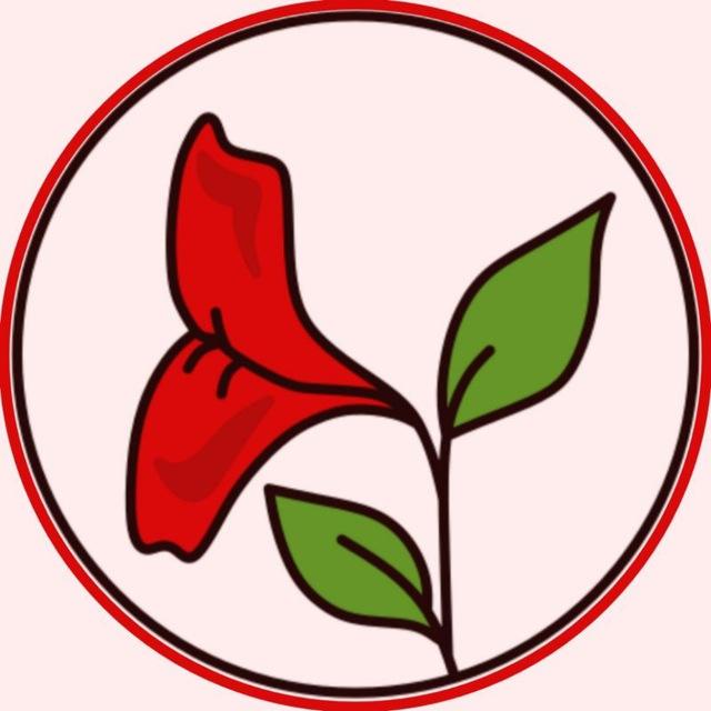 [ گُل فَرمایش کَردی ]