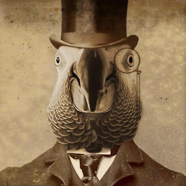 Папук поцупив🦜