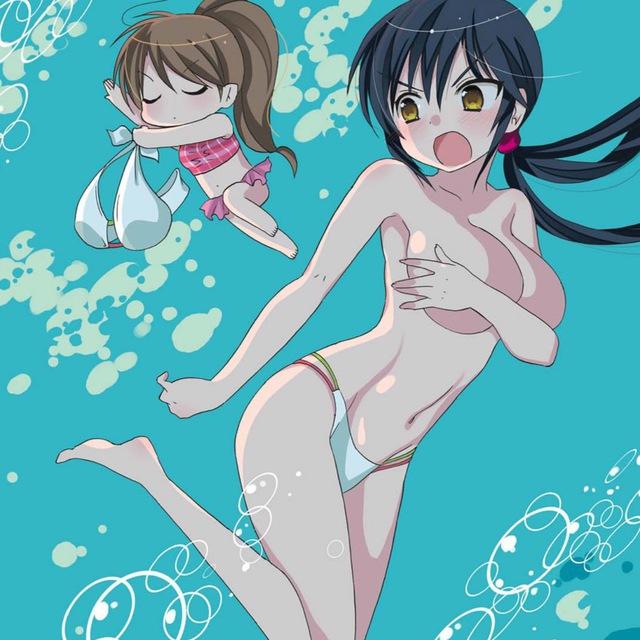 雞全部都係雞