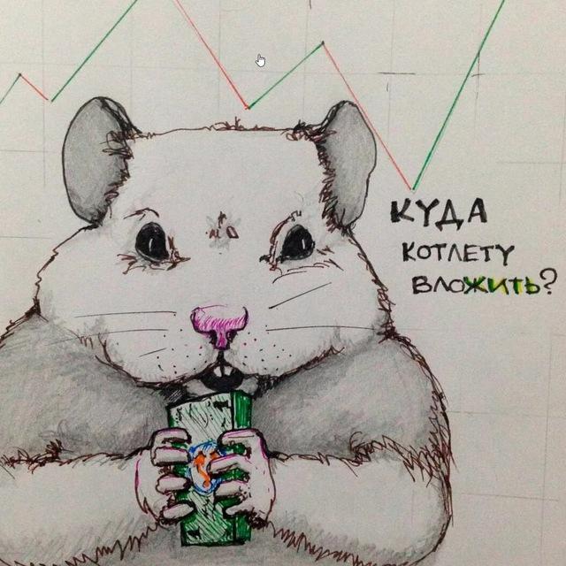 Хомяк с LogCapitala