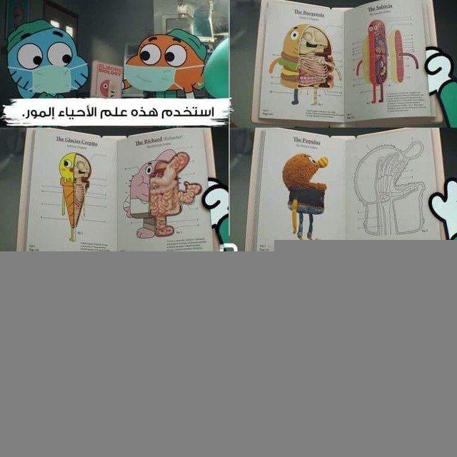 منظم العناية المركزه