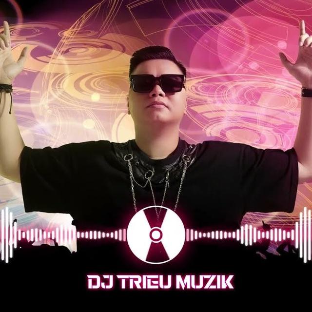 DJ TRIỆU MUZIK (NHẠC LỌT TỔNG HỢP)