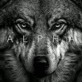Fresh Alpha💎