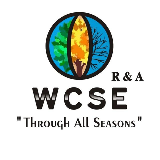 WCSE Market Insights 📊