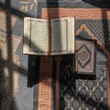 القرآن الكريم🤍🍃.