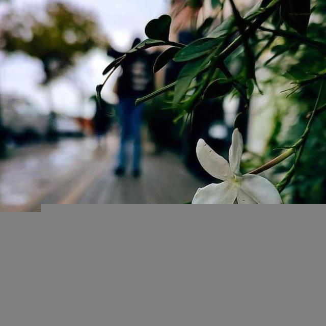 ارح قلبك 💚🫂
