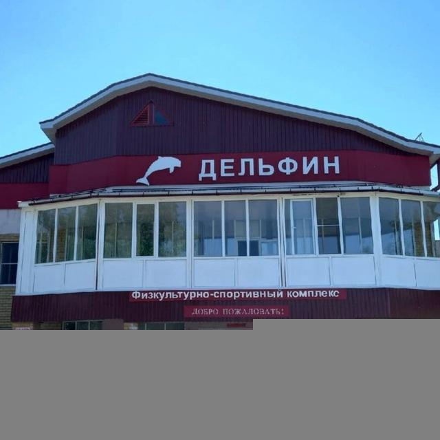 Спортивная школа "Дельфин"