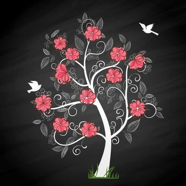 قناة كتب الأنساب