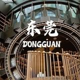 东莞-东莞瑶情