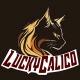 LUCKYCALICO GAMING (OFFICIAL)