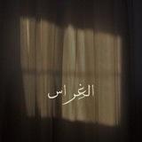 الغِراس كبِّروا "