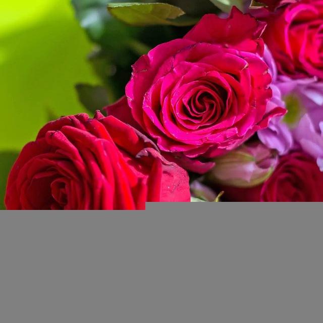 قناة الصف الثاني متوسط للقاعة و٧و٨و٩❤️❤️