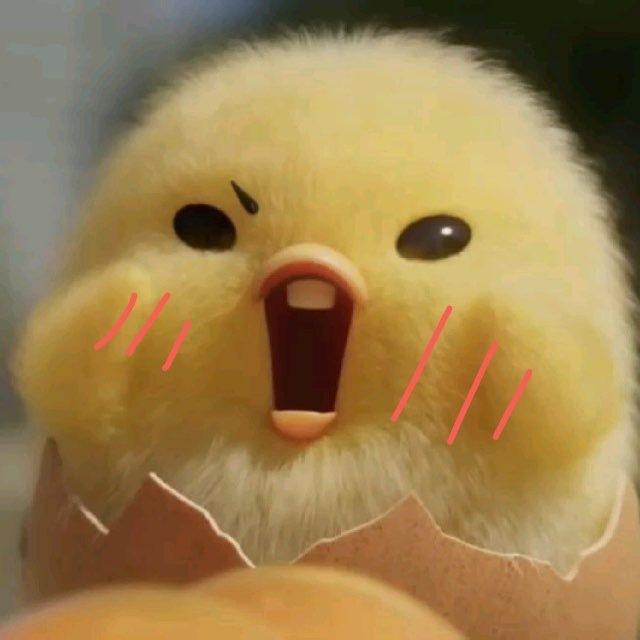 pp jastiplegal