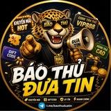 Báo Thủ Đưa Tin【24H】
