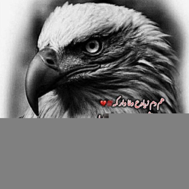 قلب سیاه‍ 🖤