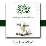 مـلامـح قـمـر💜
