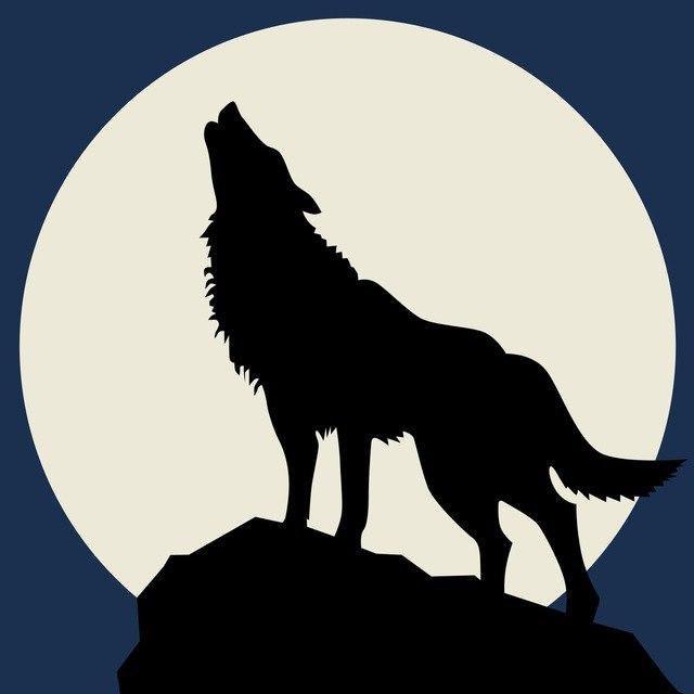 Black Werewolf Announcements