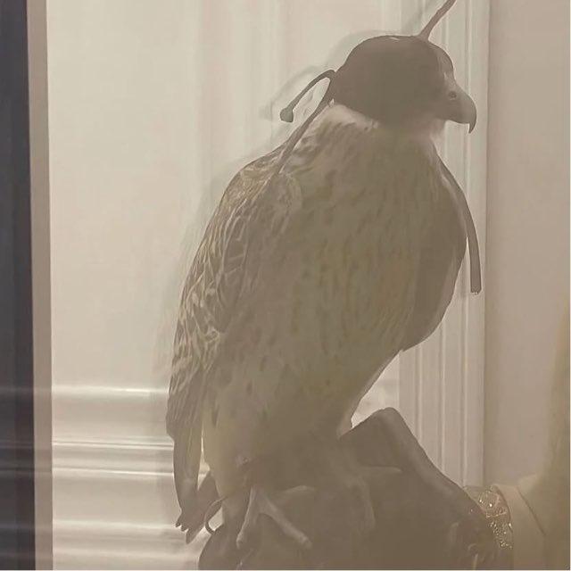 رمزيات ⚑ .
