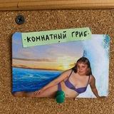 комнатный гриб