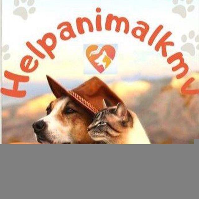 Helpanimalkmv