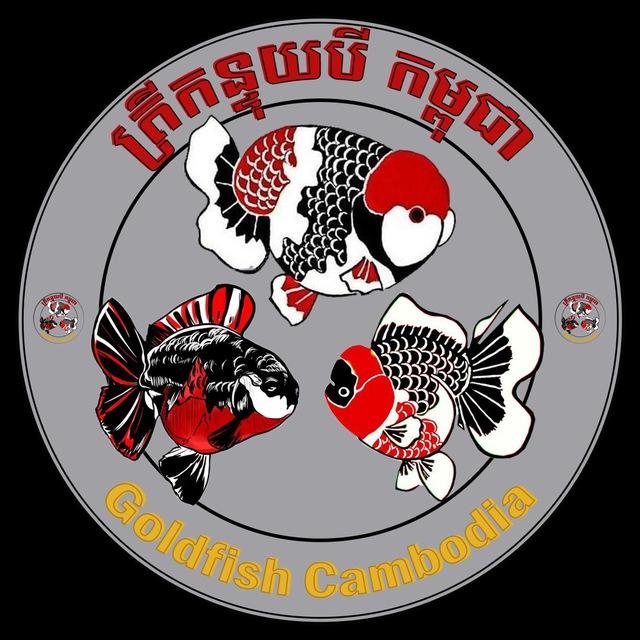 Goldfish KH ( ត្រីកន្ទុយបីកម្ពុជា )