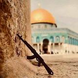 حفیدات عائشة-رضي الله عنها-🔻