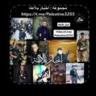 اخبار بلاطه