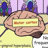 Mbbs notes