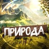 Nature 🗺️ | Природа | Красивые Видео Путешествия