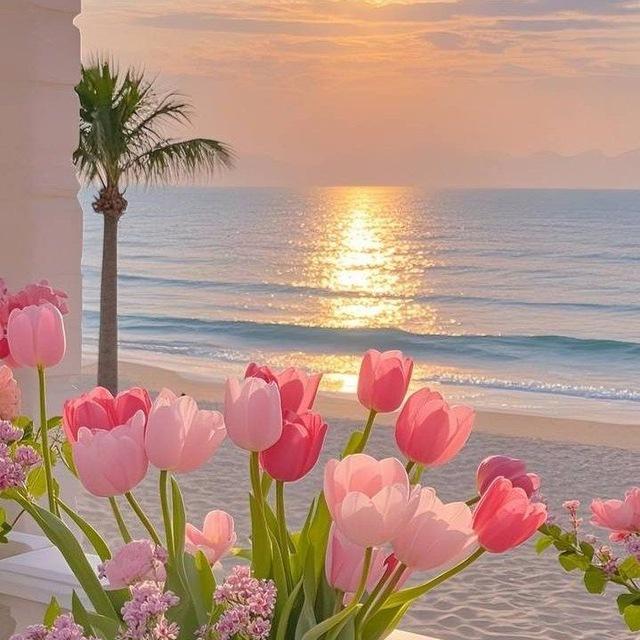 فَيَدْيوهات💕أفْلَام💕سكسم💕مَقَاطعك💕قَصَصك