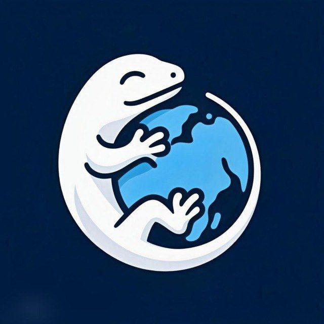 LizardNet | لیزارد نت