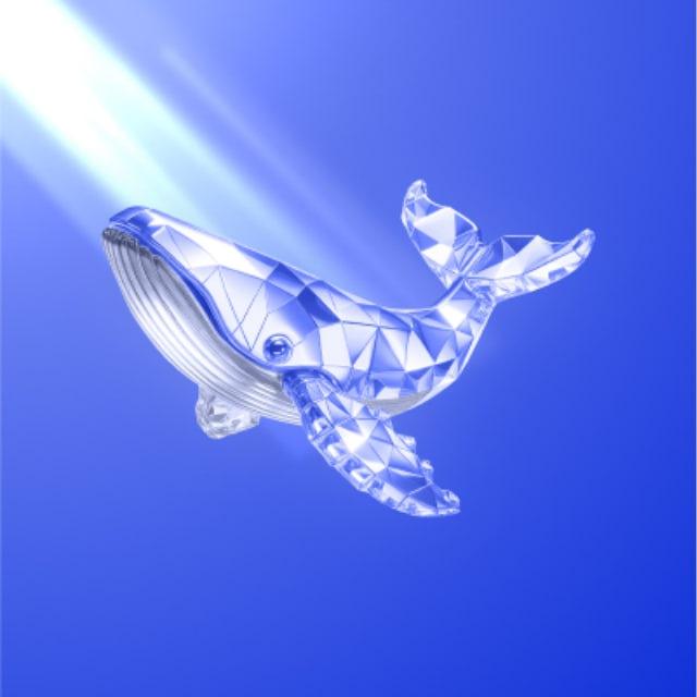1Whale