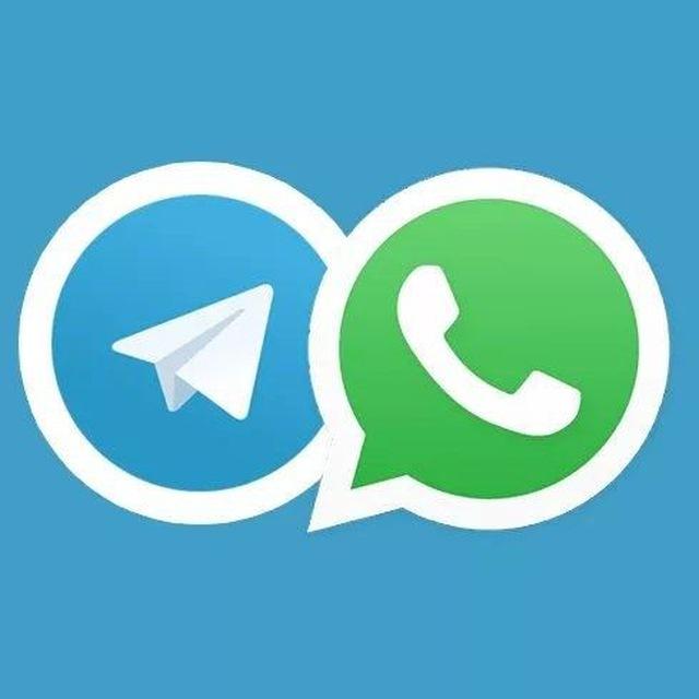 Animated Sticker Packs for WhatsApp