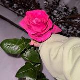 Pinterest photos