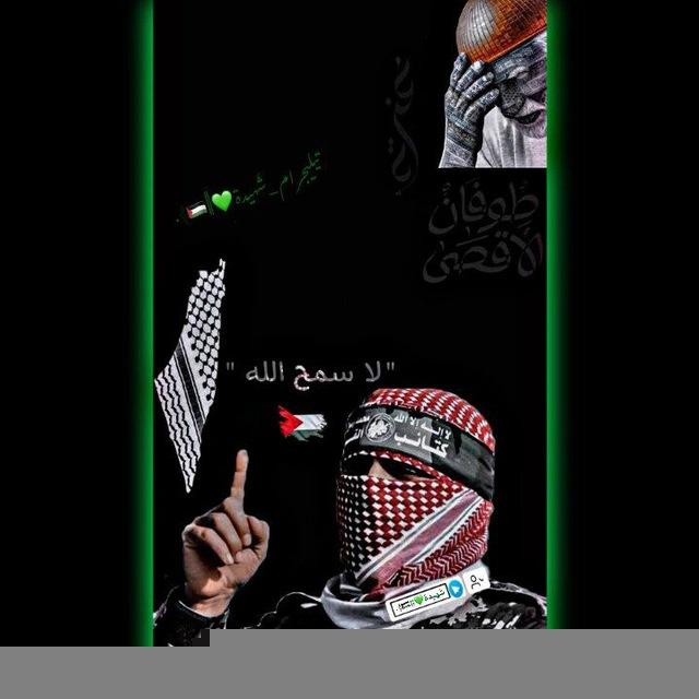 شَهيدة💚||𓂆🇵🇸.