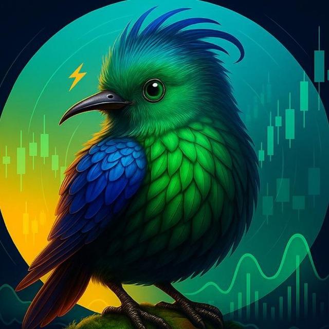 ⚡️ Volume Futures Detector - KiwiBoom