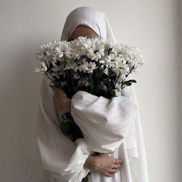 فَراشِة