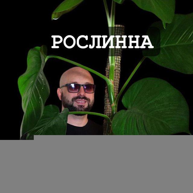 ОПОРИ ҐРУНТИ КОМПОНЕНТИ