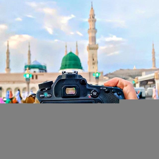 💙اليمامة الزرقاء💙