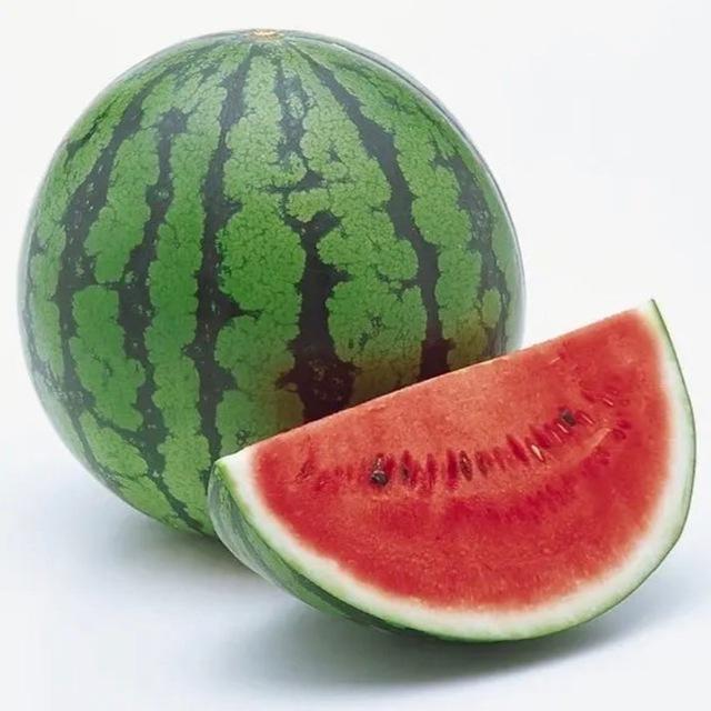 吃瓜协会🍉聊天🈲️广告
