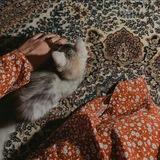 ﴿'ليطمئن قلبُك'﴾♡