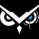 Web3 Bug Bounty Alerts