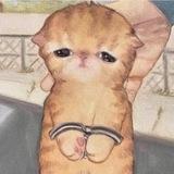 Gata