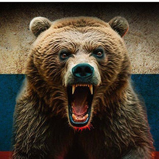 TheRussianIrishTG Archiving the unreported Russian side.